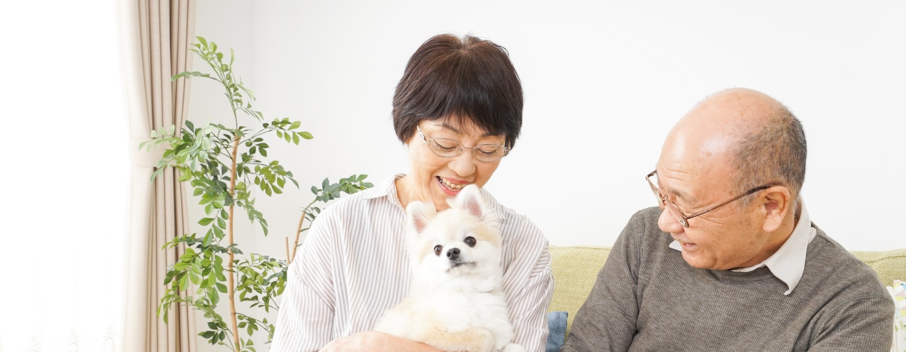 older couple smile on a couch with their dog